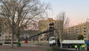 El Ayuntamiento de Cuenca avanza en el Plan de Podas actuando sobre el arbolado de la ciudad para garantizar la seguridad ciudadana