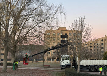 El Ayuntamiento de Cuenca avanza en el Plan de Podas actuando sobre el arbolado de la ciudad para garantizar la seguridad ciudadana