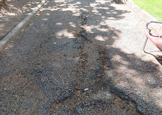 El Ayuntamiento de Cuenca ejecuta este mes la mejora de los caminos del Parque de Fátima 1 El Ayuntamiento de Cuenca ejecuta este mes la mejora de los caminos del Parque de Fátima