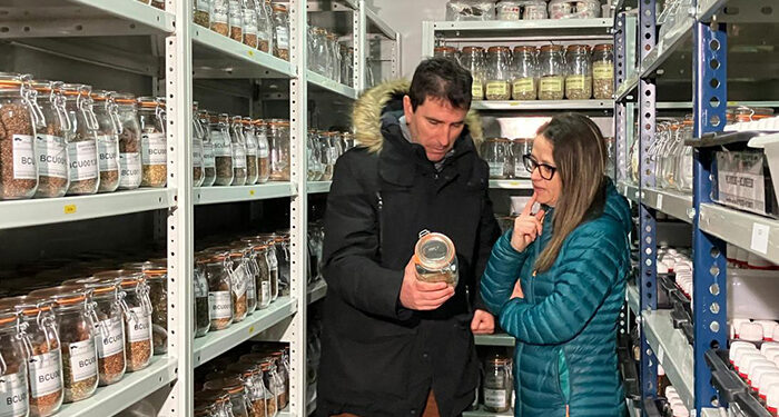 El Centro de Investigación Agroforestal de Albaladejito estudia cómo mejorar los ecorregímenes para transferir este conocimiento al sector y mejorar su rentabilidad