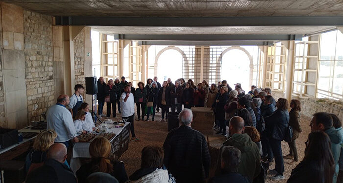 El Parque Arqueológico de Segóbriga supera los 58.000 visitantes, por encima de la media desde que hay registros 1 El Parque Arqueológico de Segóbriga supera los 58.000 visitantes, por encima de la media desde que hay registros