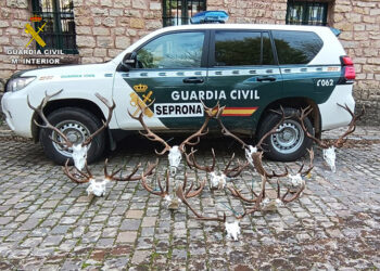 El Seprona realiza varias actuaciones contra el furtivismo y la caza ilegal en la comarca de Molina de Aragón