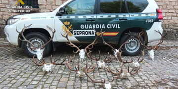 El Seprona realiza varias actuaciones contra el furtivismo y la caza ilegal en la comarca de Molina de Aragón