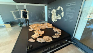 El fósil de Pepito vuelve al MUPA tras nueve meses de ‘gira’