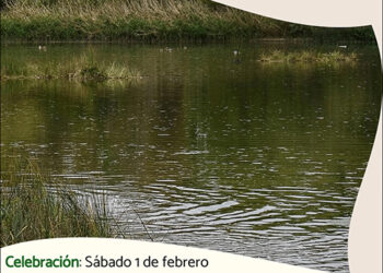 Este sábado, en la Reserva Ornitológica Municipal de Azuqueca, visita guiada y taller para fabricar comederos de aves