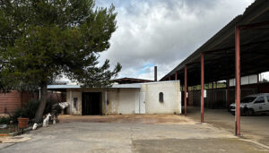 Hogar Amigo reencuentra a 63 perros perdidos con sus familias y facilita la adopción de 28 en situación de abandono