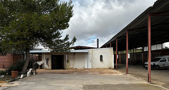 Hogar Amigo reencuentra a 63 perros perdidos con sus familias y facilita la adopción de 28 en situación de abandono 1 Hogar Amigo reencuentra a 63 perros perdidos con sus familias y facilita la adopción de 28 en situación de abandono