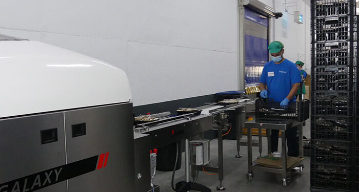 La Confederación de Empresarios de Cuenca informa sobre las subvenciones para favorecer el pleno empleo