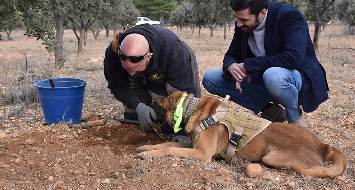 La Diputación de Cuenca apoya el trufiturismo como una actividad que conjuga sector primario con la atracción de visitantes