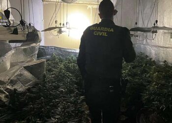 La Guardia Civil desmantela una plantación de marihuana indoor en Robledillo de Mohernando