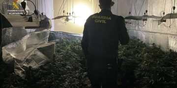 La Guardia Civil desmantela una plantación de marihuana indoor en Robledillo de Mohernando