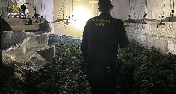 La Guardia Civil desmantela una plantación de marihuana indoor en Robledillo de Mohernando