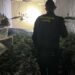 La Guardia Civil desmantela una plantación de marihuana indoor en Robledillo de Mohernando