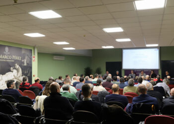 La Junta de Cofradías contará con un presupuesto de 223.500 euros para 2025