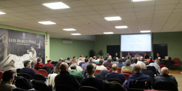 La Junta de Cofradías contará con un presupuesto de 223.500 euros para 2025