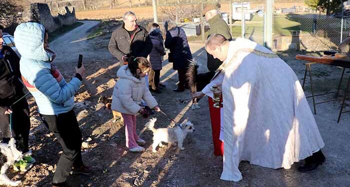 La celebración de San Antón en Cogolludo volvía a su ermita en 2025 1 La celebración de San Antón en Cogolludo volvía a su ermita en 2025