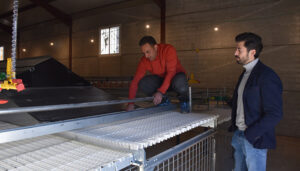 La granja gourmet ‘Tremendos Huevos’ de Cañete echa a andar gracias a dos amigos y la financiación de 68.000 euros de Diputación