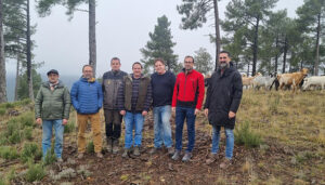 Publicada la nueva convocatoria de ayudas para fomento del pastoreo en la prevención de incendios forestales por importe de 360.000 euros