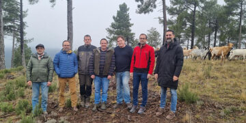 Publicada la nueva convocatoria de ayudas para fomento del pastoreo en la prevención de incendios forestales por importe de 360.000 euros