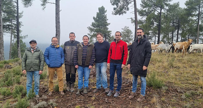 Publicada la nueva convocatoria de ayudas para fomento del pastoreo en la prevención de incendios forestales por importe de 360.000 euros