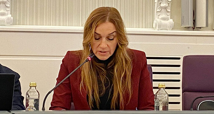 El PSOE critica que Guarinos no cuente con los colectivos y entidades juveniles de la ciudad para diseñar la programación de Juventud 1 Teresa López, concejala socialista en el Ayuntamiento