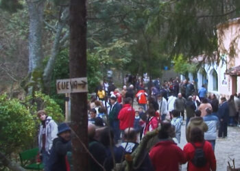 Raíces. San Julián, el de un tranquilo día del año 2009