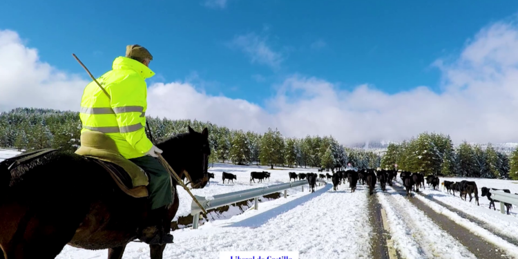 La Serranía de Cuenca con su blanca palidez (Procol Harum) 1 vlcsnap 00012