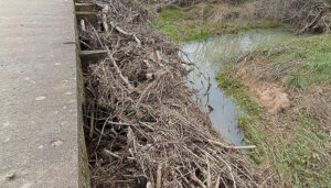 APAG secunda el movimiento de Ayuntamientos contra las actuaciones de la CHT