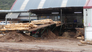 CEOE-Cepyme Cuenca llama la atención sobre el retraso en la recuperación de la inversión