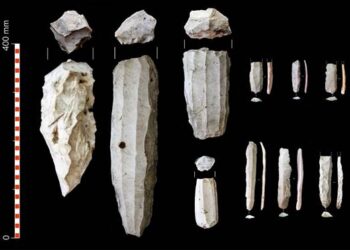 Descubren talleres de 5000 años para la elaboración de grandes cuchillos de sílex en Brihuega
