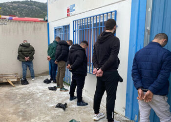 Desmantelada una plantación de marihuana “indoor” en Almonacid de Zorita