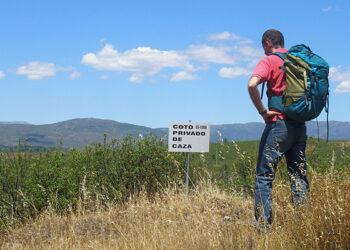 Ecologistas en Acción anuncia que el TSJCM declara ilegal el reglamento de caza de Castilla-La Mancha