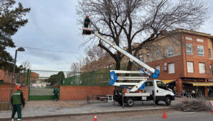 El Ayuntamiento de Azuqueca trabaja en un protocolo para minimizar riesgos por caída de ramas o árboles