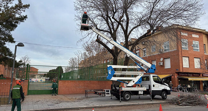 El Ayuntamiento de Azuqueca trabaja en un protocolo para minimizar riesgos por caída de ramas o árboles 1 El Ayuntamiento de Azuqueca trabaja en un protocolo para minimizar riesgos por caída de ramas o árboles