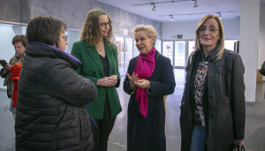 El Gobierno regional pide poner en valor la utilidad de las políticas de igualdad en el Consejo Regional de la Mujer