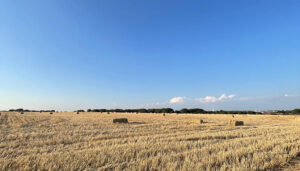 El PSOE denuncia que Prieto pone a los agricultores de Fuentelespino de Haro un impuesto especial de 513.000 euros