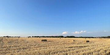El PSOE denuncia que Prieto pone a los agricultores de Fuentelespino de Haro un impuesto especial de 513.000 euros