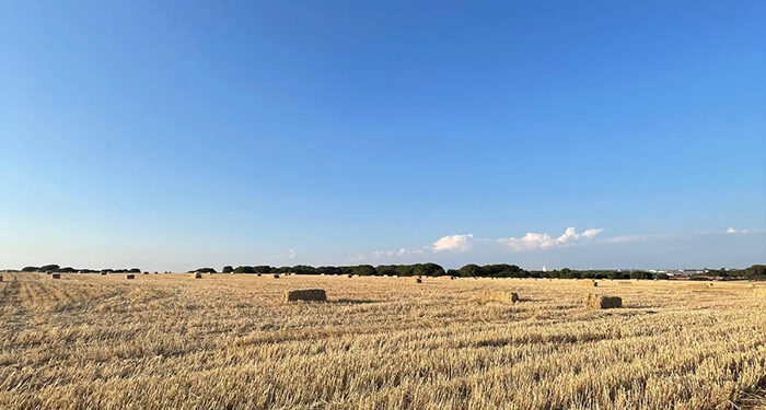 El PSOE denuncia que Prieto pone a los agricultores de Fuentelespino de Haro un impuesto especial de 513.000 euros 1 El PSOE denuncia que Prieto pone a los agricultores de Fuentelespino de Haro un impuesto especial de 513.000 euros