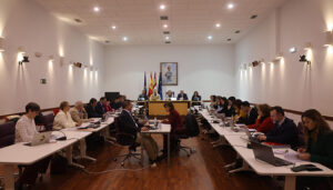 El Pleno del Ayuntamiento de Guadalajara aprueba inversiones adicionales al Presupuesto municipal por valor de 1,6 millones de euros