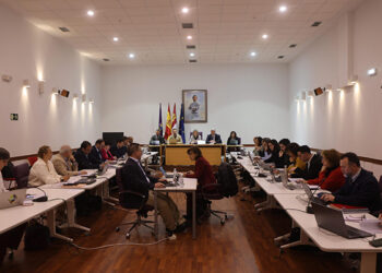 El Pleno del Ayuntamiento de Guadalajara aprueba inversiones adicionales al Presupuesto municipal por valor de 1,6 millones de euros