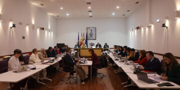 El Pleno del Ayuntamiento de Guadalajara aprueba inversiones adicionales al Presupuesto municipal por valor de 1,6 millones de euros