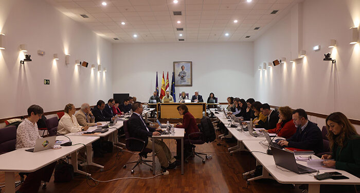 El Pleno del Ayuntamiento de Guadalajara aprueba inversiones adicionales al Presupuesto municipal por valor de 1,6 millones de euros