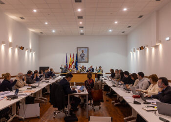 El Pleno del Ayuntamiento de Guadalajara aprueba los Presupuestos para 2025 que ascienden a 99,6 millones de euros El Pleno del Ayuntamiento de Guadalajara aprueba los Presupuestos para 2025 que ascienden a 99,6 millones de euros