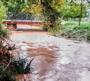 La CHT multa con 2.600 euros al Ayuntamiento de Jirueque, en plena España despoblada, por limpiar el cauce del río