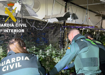 La Guardia Civil desmantela una plantación indoor de 450 plantas de marihuana en Víllora