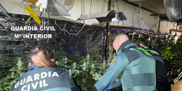 La Guardia Civil desmantela una plantación indoor de 450 plantas de marihuana en Víllora