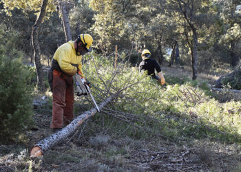 La Junta invertirá cerca de 10 millones de euros en la limpieza de los montes de Cuenca para prevenir incendios forestales