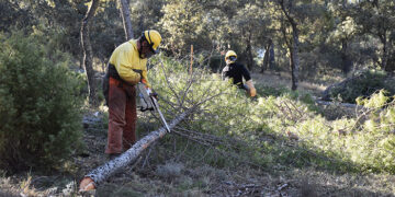 La Junta invertirá cerca de 10 millones de euros en la limpieza de los montes de Cuenca para prevenir incendios forestales