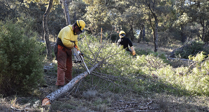 La Junta invertirá cerca de 10 millones de euros en la limpieza de los montes de Cuenca para prevenir incendios forestales