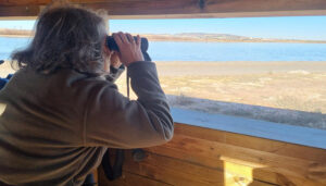 La Junta realiza un importante esfuerzo inversor de siete millones de euros para actuaciones de mejora y conservación de humedales en Castilla-La Mancha